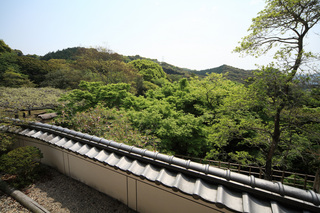 IMG_7694.jpg